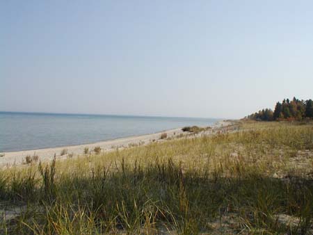 01-1004