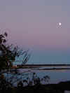 YardMoonRise.jpg.jpg (37238 bytes)