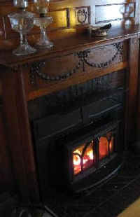 insertfire1_300a.jpg (17865 bytes)